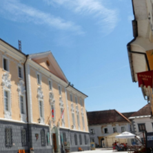 Radovlji&scaron;ka gra&scaron;čina